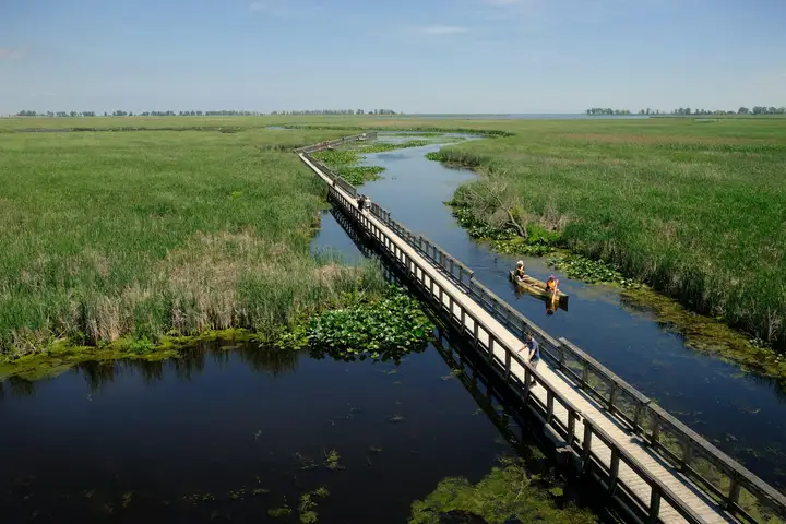 Kanoën door Nationaal Park De Biesbosch